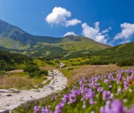 House Hanka, High Tatras بيت للعطل Stará Lesná